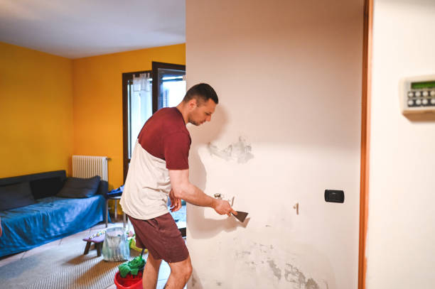 Best Mold Testing and Inspection Services in Glassboro, NJ