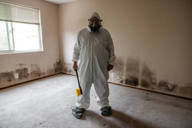 Best Attic Mold Remediation in Glassboro, NJ